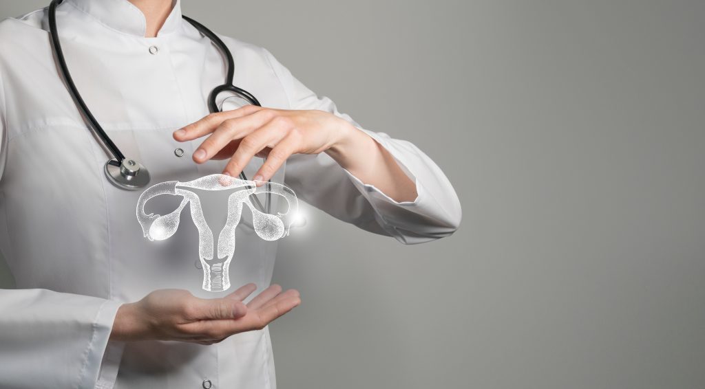 Médica com a ilustração de um útero para representação do sistema reprodutivo feminino com referência a técnicas de reprodução para realizar o sonho de ser mãe 