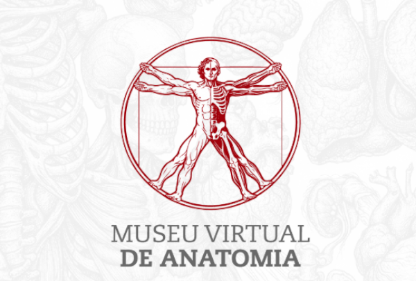 Museu Virtual de Anatomia São Camilo