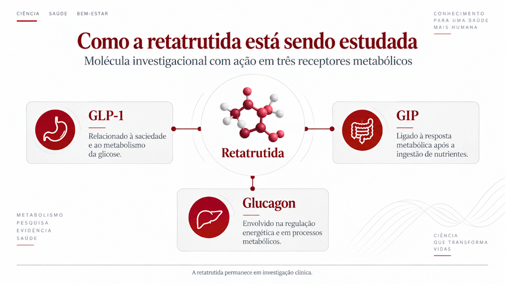 Infográfico sobre como a retatrutida atua nos receptores GLP-1, GIP e glucagon