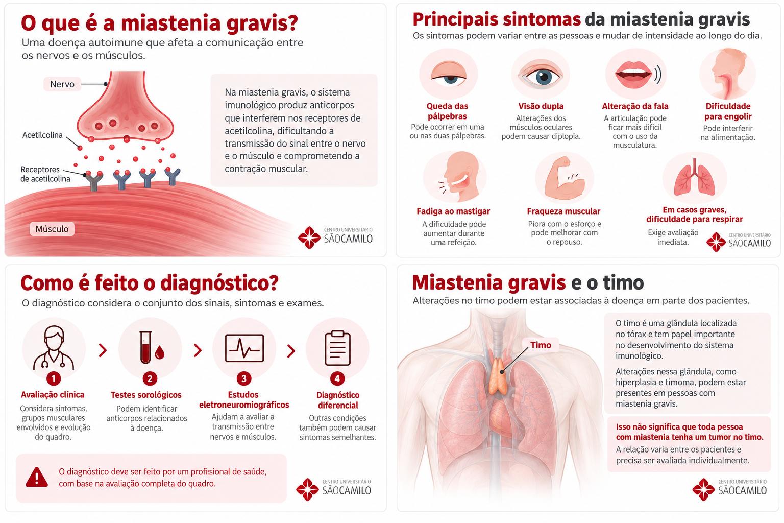 Infográfico explicando o que é a miastenia gravis, como ela afeta a comunicação entre nervos e músculos e quais são os principais sintomas